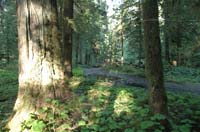 JFoto-2010-05-13-0715