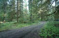 JFoto-2010-05-13-0718