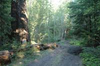 JFoto-2010-05-13-0720