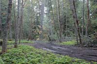 JFoto-2010-05-13-0724