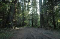 JFoto-2010-05-13-0727