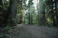 JFoto-2010-05-13-0731