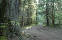 JFoto-2010-05-13-0734