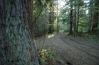 JFoto-2010-05-13-0735