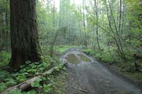 JFoto-2010-05-13-0736