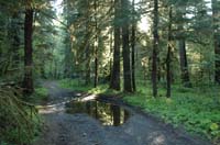 JFoto-2010-05-13-0742
