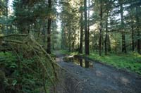 JFoto-2010-05-13-0745