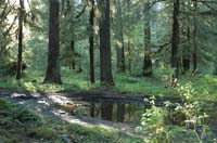 JFoto-2010-05-13-0747
