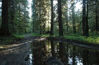 JFoto-2010-05-13-0749