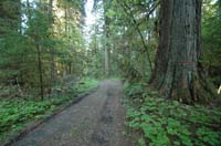 JFoto-2010-05-13-0754