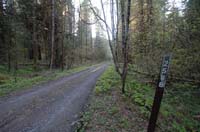 JFoto-2010-05-13-0756
