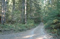 JFoto-2010-05-13-0767