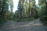 JFoto-2010-05-13-0768