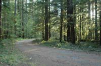 JFoto-2010-05-13-0778