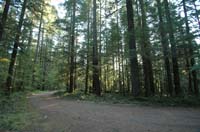 JFoto-2010-05-13-0780
