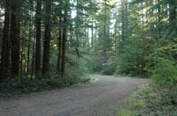 JFoto-2010-05-13-0781
