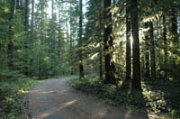 JFoto-2010-05-13-0783