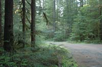 JFoto-2010-05-13-0786