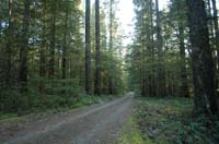 JFoto-2010-05-13-0804
