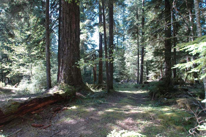 JFoto-2010-05-13-0569