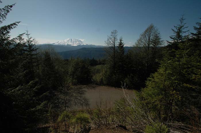JFoto-2010-05-13-0605