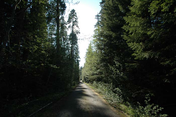 JFoto-2010-05-13-0617