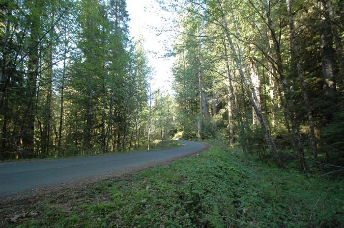 JFoto-2010-05-13-0630