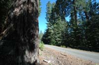 JFoto-2010-05-13-0590