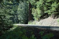 JFoto-2010-05-13-0592
