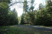 JFoto-2010-05-13-0613