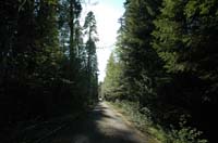 JFoto-2010-05-13-0617