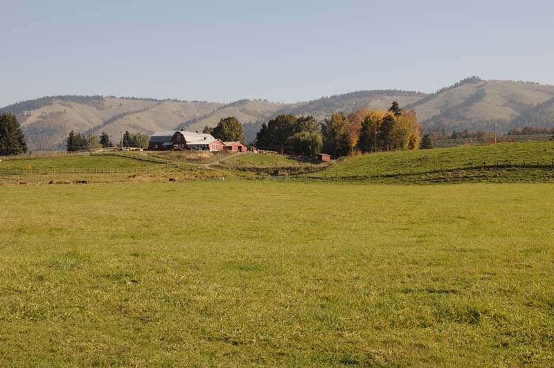 JFOTO-0256