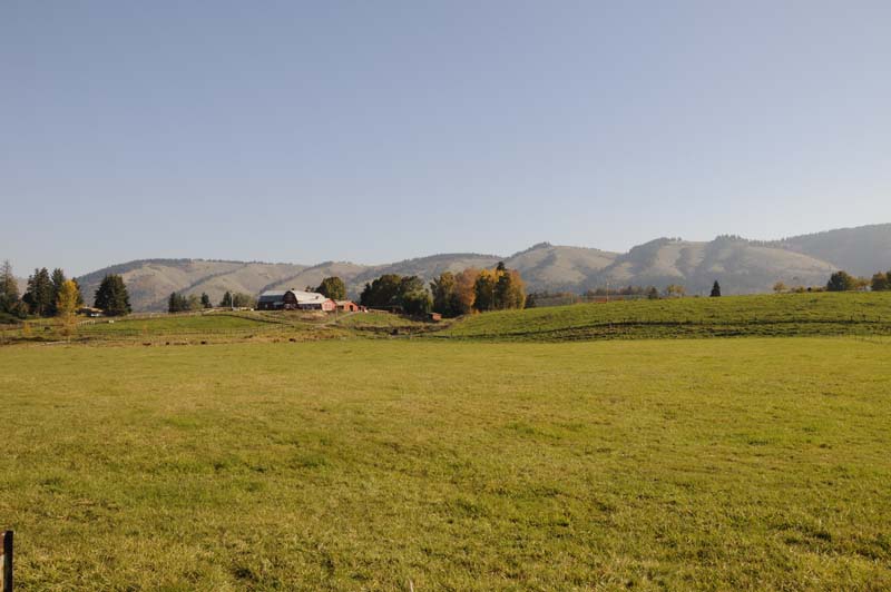 JFOTO-0262