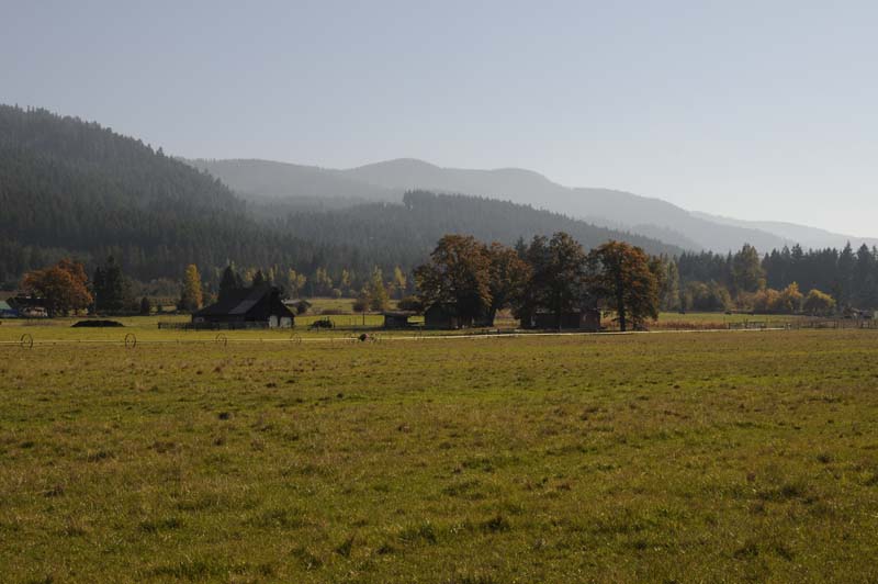 JFOTO-0436
