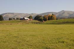JFOTO-0256