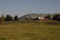 JFOTO-0276