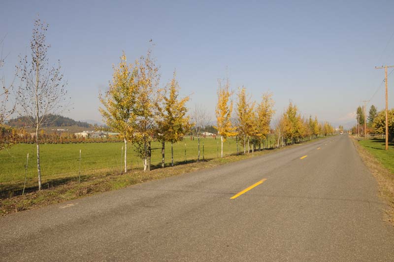 JFOTO-0309