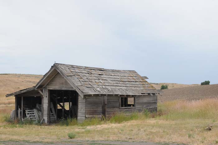 JFoto 0050