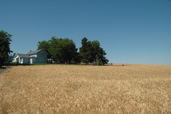 JFoto 0018 Hayes Farm 1030am