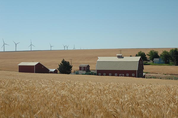 JFoto 0007 Klondike Rd 96200-Hayes Farm 1030am 
