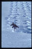 JFoto Ski SKI02-93