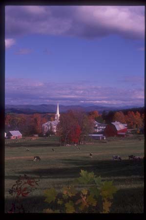 Vermont Fall Peacham 039
